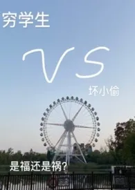 穷学生VS坏小偷