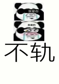 不轨（NP）