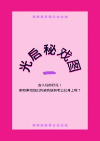 光启秘戏图（NP）