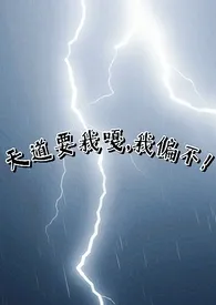 天道要我嘎，我偏不！（np）