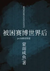 被困赛博世界之后[NPH]