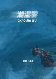 潮湿雾（1V1）