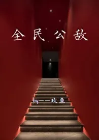 全民公敌   (np  暗黑)